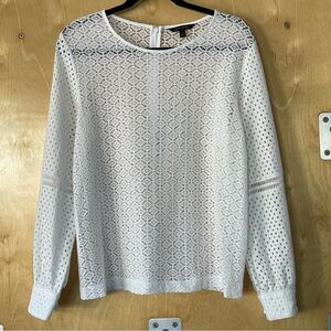 Classic and slightly sporty
Professional and feminine 
Non-smoking household